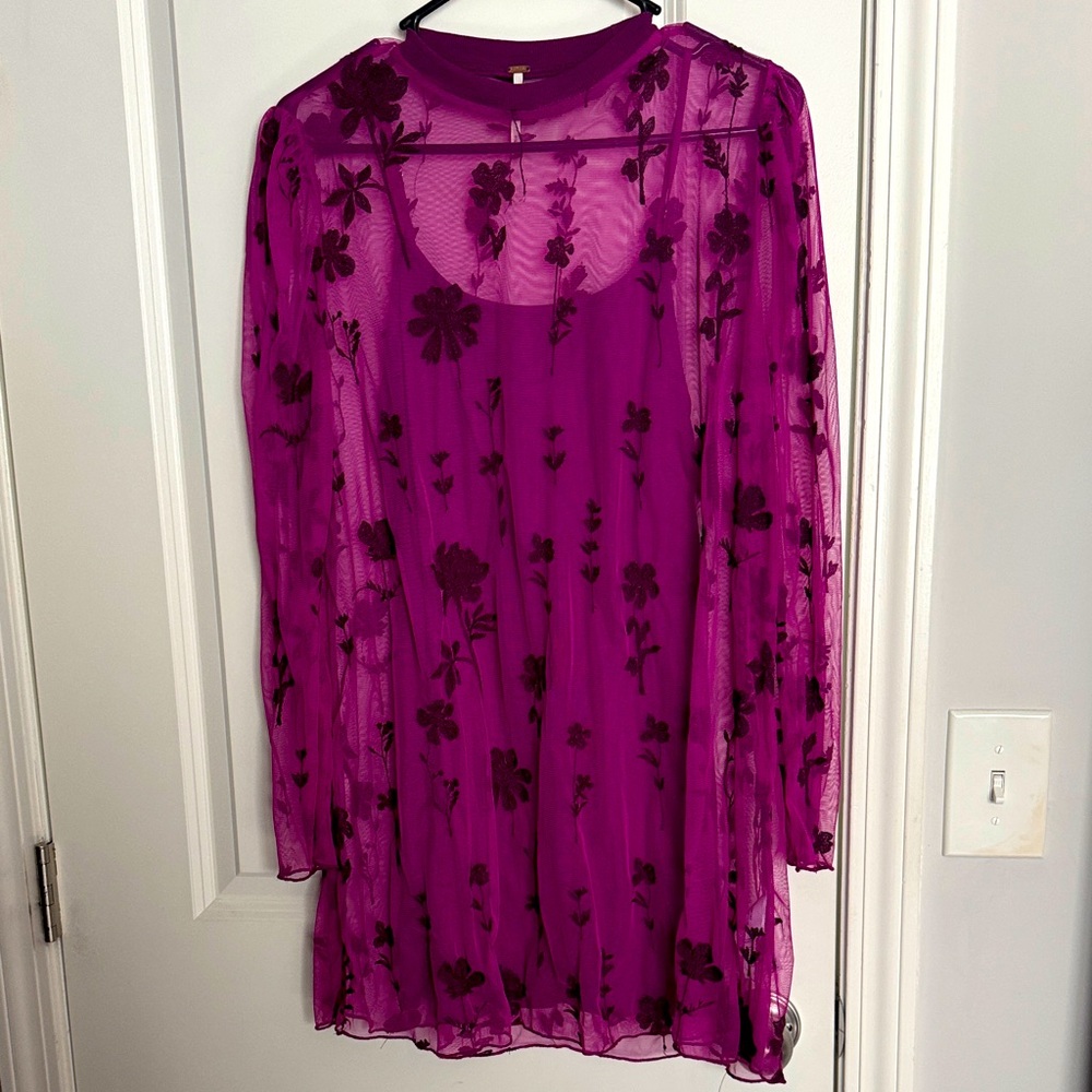 Free people Cecelia sheer mini dress